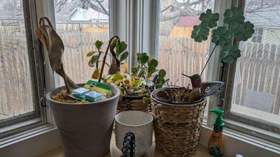 Plant Party