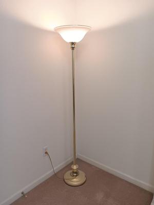 Brass Floor lamp with white and gold globe - takes a regular lightbulb.