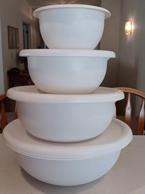 Sterilite Nesting food storage containers with lids