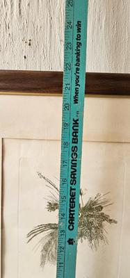 Signed and numbered Baskin print 1966 A bouquet of Wild Grasses