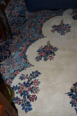 larger area oriental rug, 10' by 12' 