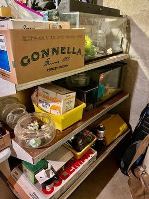 Aquariums/Supplies Basement