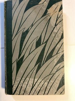 Antique 1895 Jungle Book