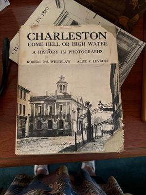 Historical Charleston depicted in many books, novels, and docu booksq