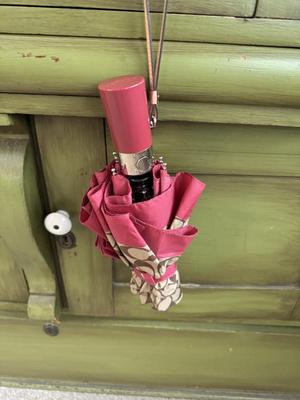 COach Umbrella