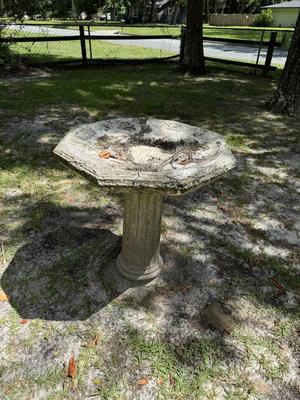 Concrete Bird Bath