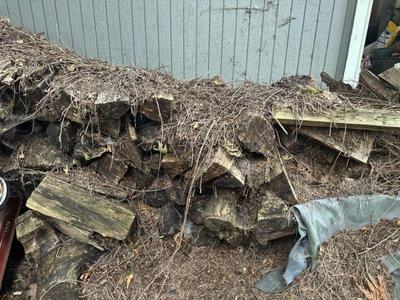 Firewood 