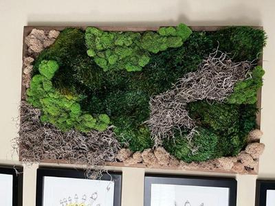 preserved moss art