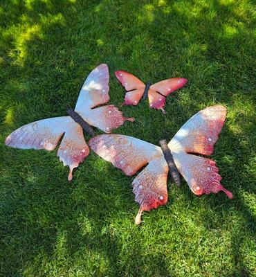 butterflies