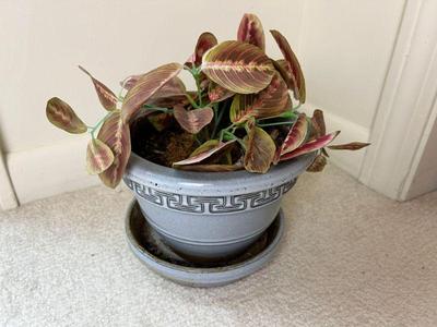 Vintage Scan-Pot Glazed Planter