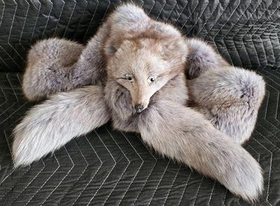 Vintage silver fox stole