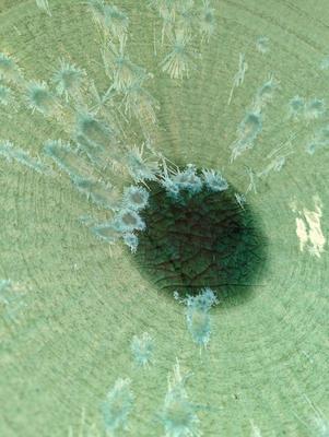 Steven Klinsky HUGE ceramic bowl