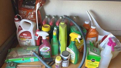 Garden mystery items
