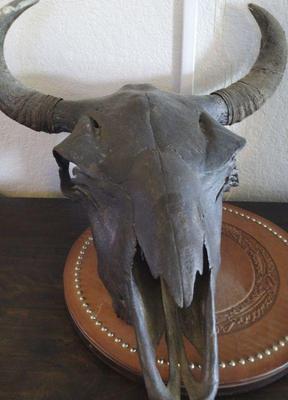 Painted cow skull