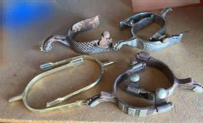 Western spurs