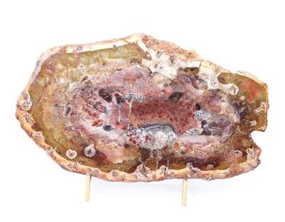 Lot 295 wonderful petrified wood slab