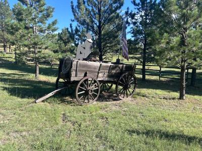 Early 1800's Horse Drawn Wagon