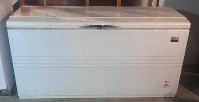 Large basement/garage freezer