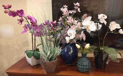 Miscellaneous floral