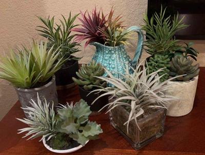 Artificial succulents 1