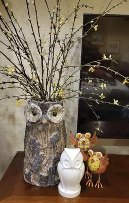 Parliament of owls