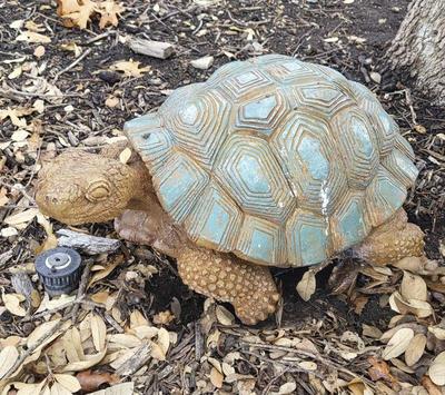 Concrete tortoise