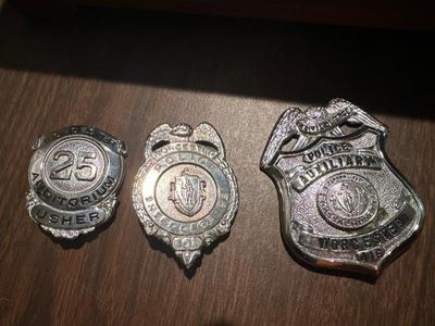 Vintage Worcester Badges 