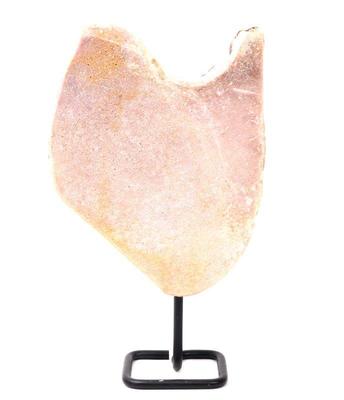 Lot 248 huge dinosaur bone slab section
