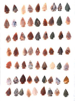 Lot 71 wonderful collection of 63 miwok tribe arrowheads