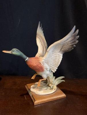 G armani flying mallard duck