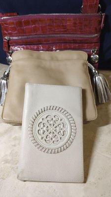 Brighton crossbody folio wallet