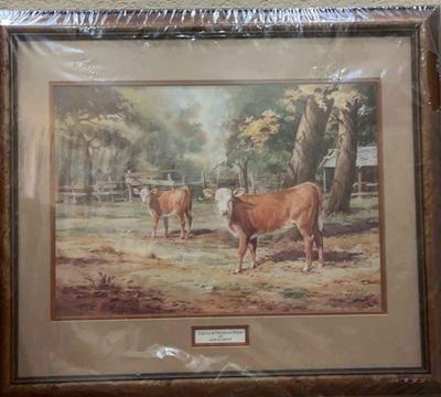 Calves at christian farm by john e carter
