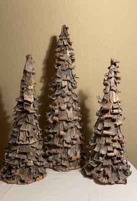Three curled birch bark trees