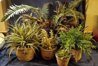 Faux plants