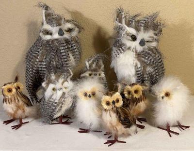 A parliament of owls