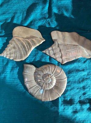 Brass shell shaped wall hangers