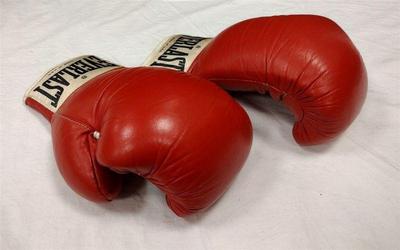 EVERLAST 2210 BOXING GLOVES