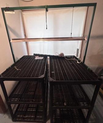 Indoor Growing Shelves