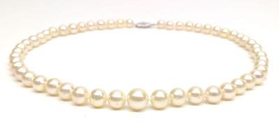 Sale Photo Thumbnail #113: 14K Gold Beaded Pearl Necklace (16" Long)