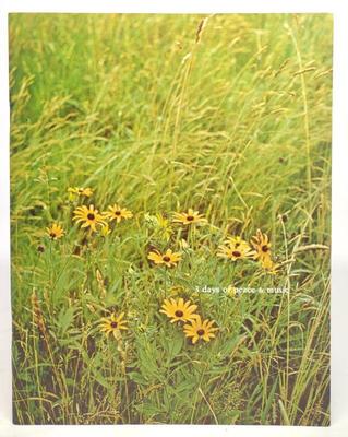 Original 1969 Woodstock Music & Art Fair Program