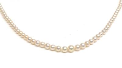 14K W. Gold Tapered Seed Pearl Necklace (16" Long)