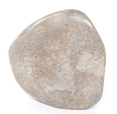 Lot 311 large section of polished dinosaur bone