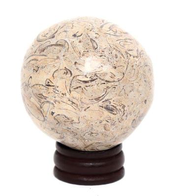 Lot 315 gorgeous polished section of dinosaur bone wstand