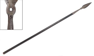 Lot 33 spanish colonial boar spear polearm 17th c.