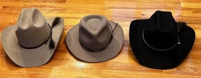 Selection of cowboy hats and other hats
