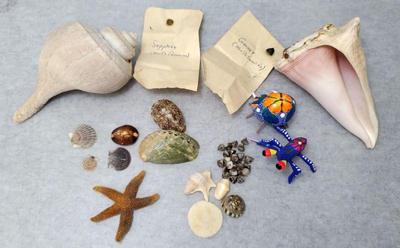 Mb120 stones sea shells, sapphire, garnet