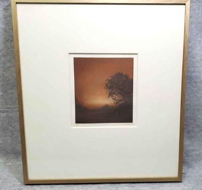 Bs032 signed numbered lithograph horowitz