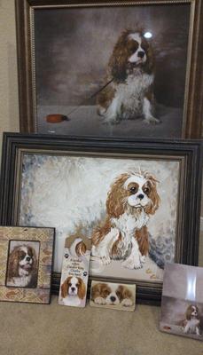 For the love of a king charles spaniel)