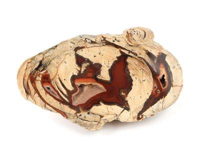 Lot 211 gorgeous cut thunderegg agate & chalcedony