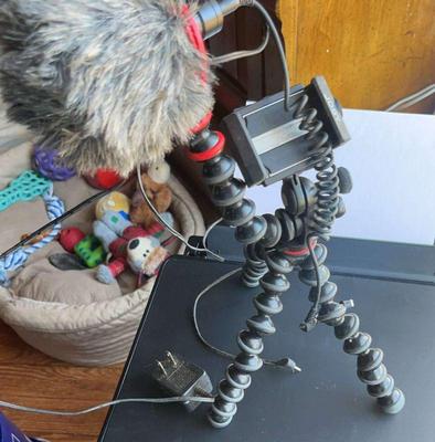 Gorilla tripod joby